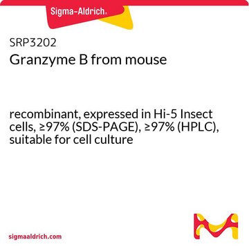 Granzyme B from mouse recombinant, expressed in Hi-5 Insect cells, ≥97% (SDS-PAGE), ≥97% (HPLC), suitable for cell culture