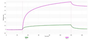 Anti-TGF β receptor 1 Antibody, clone 4H18 ZooMAb® Rabbit Monoclonal recombinant, expressed in HEK 293 cells