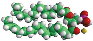 18:0-22:6 PA 1-stearoyl-2-docosahexaenoyl-sn-glycero-3-phosphate (sodium salt), chloroform