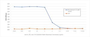Anti-IL-12B Antibody, clone 1N3 ZooMAb® Rabbit Monoclonal recombinant, expressed in HEK 293 cells