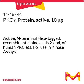 PKC η Protein, active, 10 µg Active, N-terminal His6-tagged, recombinant amino acids 2-end, of human PKC eta. For use in Kinase Assays.