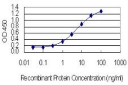 Monoclonal Anti-MMP3 antibody produced in mouse clone 4C11, purified immunoglobulin, buffered aqueous solution
