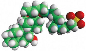 CHAPS Avanti Research™ - A Croda Brand