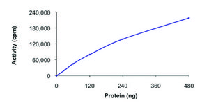 PHKG1, active, GST tagged human PRECISIO® Kinase, recombinant, expressed in baculovirus infected Sf9 cells, ≥70% (SDS-PAGE), buffered aqueous glycerol solution