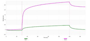 Anti-SHP-1/PTPN6 Antibody, clone 1D20 ZooMAb® Rabbit Monoclonal recombinant, expressed in HEK 293 cells