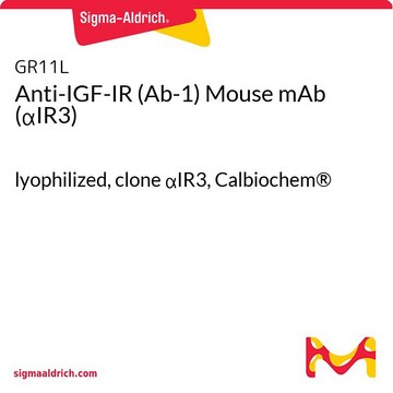 Anti-IGF-IR (Ab-1) Mouse mAb (αIR3) lyophilized, clone αIR3, Calbiochem®