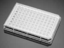 Corning® Falcon® Cell Culture Plate wells, 96, Tissue Culture (TC)-treated surface, round bottom clear wells, sterile