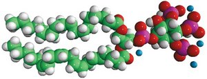 18:0-20:4 PI(3,4,5)P3 1-stearoyl-2-arachidonoyl-sn-glycero-3-phospho-(1′-myo-inositol-3′,4′,5′-trisphosphate) (ammonium salt), powder