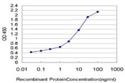 Monoclonal Anti-PDE3B antibody produced in mouse clone 4A4, purified immunoglobulin, buffered aqueous solution