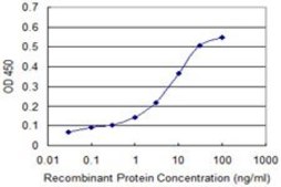 Monoclonal Anti-PI3 antibody produced in mouse clone 3G9, purified immunoglobulin, buffered aqueous solution