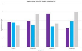 Fetal Bovine Serum US Origin, Mesenchymal Stem Cell Qualified FBS, sterile-filtered, suitable for stem cell culture