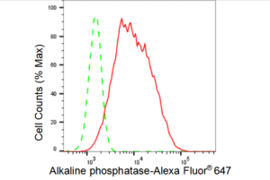 KD-Validated Anti Alkaline phosphatase Antibody, clone 23GB3645, Rabbit Monoclonal clone 23GB3645, recombinant rabbit monoclonal, expressed in HEK293 cells