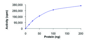 CDK5/p35., active, GST tagged human PRECISIO® Kinase, recombinant, expressed in baculovirus infected Sf9 cells, ≥70% (SDS-PAGE), buffered aqueous glycerol solution