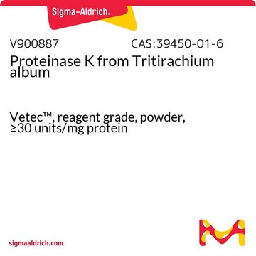 Proteinase K from Tritirachium album Vetec™, reagent grade, powder, ≥30 units/mg protein