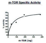 mTOR/Raptor/MLST8 human recombinant, expressed in baculovirus infected Sf9 cells, ≥50% (SDS-PAGE)