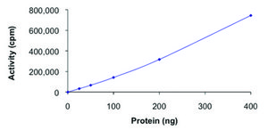 JAK3 (781-end), active, GST tagged human PRECISIO® Kinase, recombinant, expressed in baculovirus infected Sf9 cells, ≥70% (SDS-PAGE), buffered aqueous glycerol solution