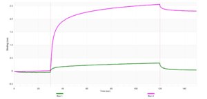 Anti-Syntaxin-1A Antibody, clone 2B21 ZooMAb® Rabbit Monoclonal recombinant, expressed in HEK 293 cells