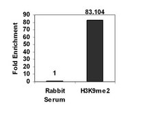 ChIPAb+ 二甲基组蛋白H3（Lys9）- ChIP经验证的抗体和引物组 serum, from rabbit