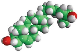 25-羟基胆固醇 Avanti Research™ - A Croda Brand