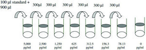 人类 FcgRIIBC ELISA 试剂盒 for serum, plasma, cell culture supernatants and urine