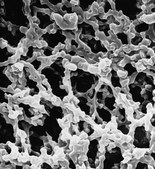 MF-Millipore™ 膜过滤装置, 孔径5 µm MF-Millipore™, filter diam. 25 mm, hydrophilic