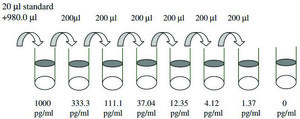 小鼠 TIMP-1 ELISA 试剂盒 for cell and tissue lysates