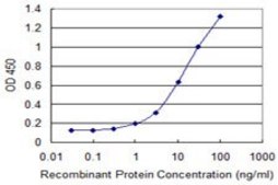 Monoclonal Anti-IL1A, (C-terminal) antibody produced in mouse clone 1F3, purified immunoglobulin, buffered aqueous solution