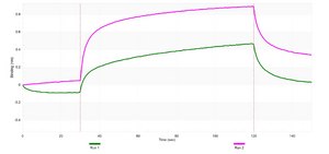 Anti-phospho Lyn (Tyr507) Antibody, clone 1I11 ZooMAb® Rabbit Monoclonal recombinant, expressed in HEK 293 cells
