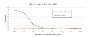 Anti-H-Ras Antibody, clone 3B13 ZooMAb® Rabbit Monoclonal recombinant, expressed in HEK 293 cells