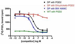 ChemiSCREEN Human DP Prostanoid Receptor Membrane Preparation Human DP GPCR membrane preparation for Radioligand binding Assays &amp; GTPgammaS binding.