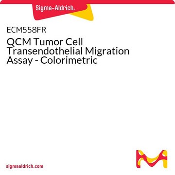 QCM Tumor Cell Transendothelial Migration Assay - Colorimetric