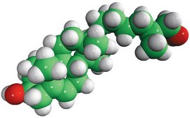27-hydroxycholesterol Avanti Research™ - A Croda Brand
