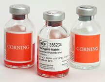 Corning® Matrigel® Matrix for Organoid Culture Phenol Red Free, pack of 10 mL