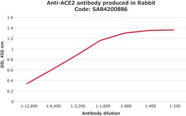 Anti-ACE2 antibody produced in rabbit affinity isolated antibody, buffered aqueous solution