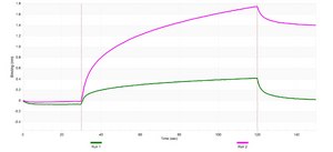 Anti-RANKL/TNFSF11 Antibody, clone 1H17 ZooMAb® Rabbit Monoclonal recombinant, expressed in HEK 293 cells