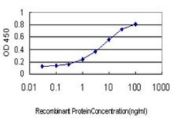 Monoclonal Anti-PTCH antibody produced in mouse clone 8E1, purified immunoglobulin, buffered aqueous solution