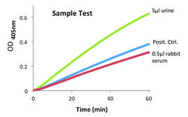 Amylase Activity Assay Kit sufficient for 100 colorimetric&nbsp;tests