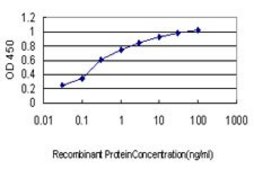 Monoclonal Anti-EPHA2 antibody produced in mouse clone 6F8, purified immunoglobulin, buffered aqueous solution