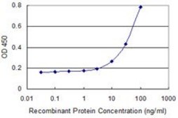 Monoclonal Anti-TCN2 antibody produced in mouse clone 2F4, purified immunoglobulin, buffered aqueous solution