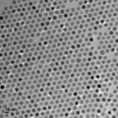 Iron oxide(II,III), magnetic nanoparticles solution 10 nm avg. part. size (TEM), amine functionalized, 1 mg/mL Fe in H2O, dispersion