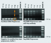 FastStart™ Taq DNA Polymerase, 5 U/μl dNTPs included: no, hotstart, suitable for PCR