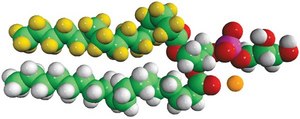 16:0-d31-18:1 PG 1-palmitoyl-d31-2-oleoyl-sn-glycero-3-[phospho-rac-(1-glycerol)] (sodium salt), chloroform
