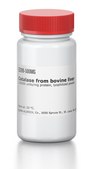 过氧化氢酶 来源于牛肝脏 ≥20000 units/mg protein, lyophilized powder