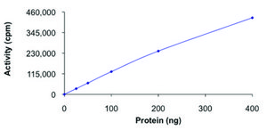 FLT4 (800-end), active, GST tagged human PRECISIO® Kinase, recombinant, expressed in baculovirus infected Sf9 cells, ≥70% (SDS-PAGE), buffered aqueous glycerol solution
