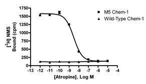 ChemiScreen Membrane Preparation Recombinant Human M5 Muscarinic Acetylcholine Receptor Human M5 GPCR membrane preparation for Radioligand binding Assays &amp; GTPγS binding.