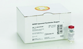 DOTAP Liposomal Transfection Reagent >99% (TLC), liquid, suitable for transfection