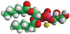 06:0 PG 1,2-dihexanoyl-sn-glycero-3-phospho-(1′-rac-glycerol) (sodium salt), powder
