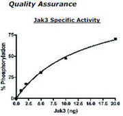 Jak3 Active human recombinant, expressed in baculovirus infected insect cells, ≥60% (SDS-PAGE)