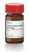 Trypsin from bovine pancreas Type I, ~10,000 BAEE units/mg protein