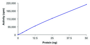PKC-δ, active, GST tagged human PRECISIO®, recombinant, expressed in baculovirus infected Sf9 cells, ≥70% (SDS-PAGE), buffered aqueous glycerol solution